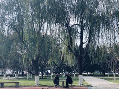 -城市运动公园(未央区)