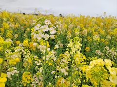 -中国天府农业博览园