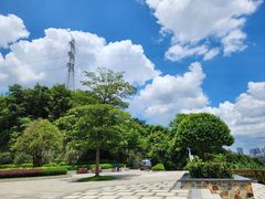 -阳台山森林公园