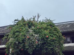 -比顿咖啡(和顺古镇店)