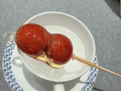 -羲和雅苑•北京烤鸭(平安国际金融中心店)