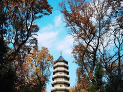 -灵谷景区