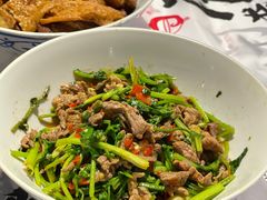 -壹盏灯(惠农店)