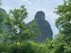 -明仕田园