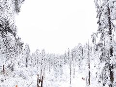 -瓦屋山景区