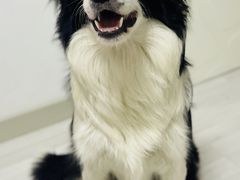 -野人部落(中街店)