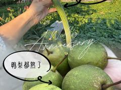 -丽泽山庄·生态怀柔菜·虹鳟鱼(红螺寺店)