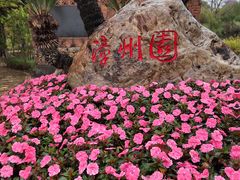 -厦门园林博览苑