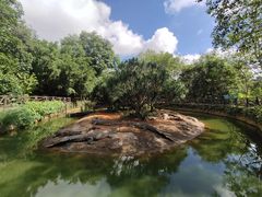 -海南热带野生动植物园