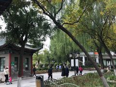 -文瀛公园