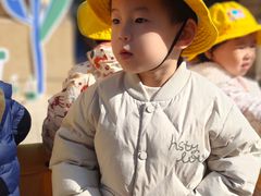 -豆初托育园 Baby Bean Day care Center