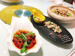 -天福苑(崇宁路店)