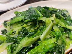 -陈麻婆豆腐(旗舰店)