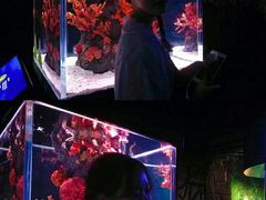 -暹罗海洋世界