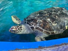 -横店影视城梦幻谷园区