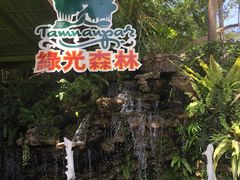 -绿光森林餐厅