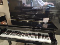 -雅马哈乐器专卖店(广州旗舰店)