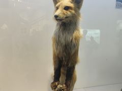 -重庆自然博物馆(新馆)