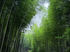 -黄公望隐居地