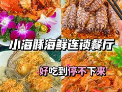-亚龙湾热带天堂森林公园