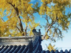 -承恩寺