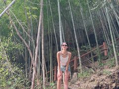 -藏龙百瀑风景区