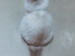 -藏猫猫咖啡主题馆(中央大道店)