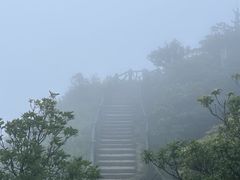 -梧桐山风景名胜区