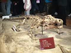 -自贡恐龙博物馆