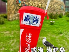 -海驴岛(荣成市)