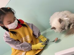 -怪兽屋·羊驼·猫咖·狗咖(俊华广场店)