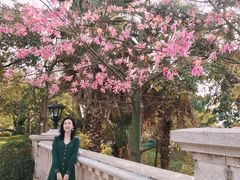 -美的鹭湖森林度假区