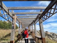 -白草畔自然风景区