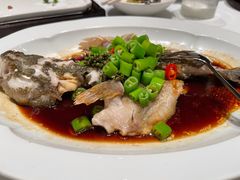 古法蒸鲥鱼-荣兴酒家(徐家汇店)