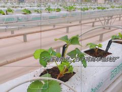 -中国天府农业博览园