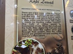 -巴厘岛黄金金兔咖啡工厂