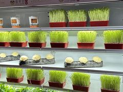 -番食园鲜食火锅(高新店)
