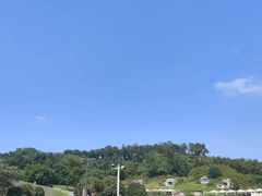 -大塘金香草谷