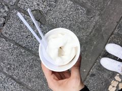 -洪馨椰子