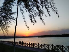 -丁香湖公园