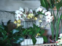 -春暖花开(西溪店)