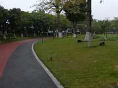 -映月湖公园