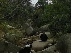 -大罗山风景区