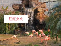 -无锡动物园·太湖欢乐园