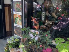 -家烧面馆【南山路知名经典面食】