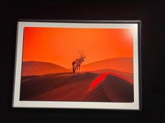 -罗红摄影艺术馆