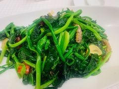 -双井轩(双井店)