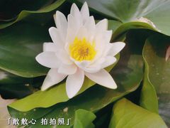 -陶然亭公园