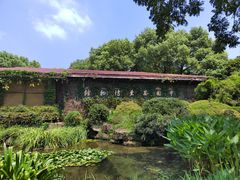 -中国茶叶博物馆(双峰馆区)