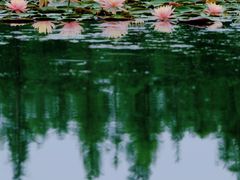 -白鹭湾湿地公园